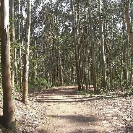 Lantställe Casa Paulita Ca749 *